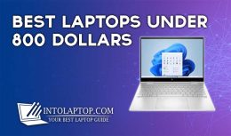 11 Best Laptops under 800 Dollars in 2024