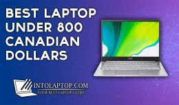 8 Best Laptop Under 800 Canadian Dollars In 2024