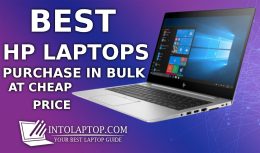 Best HP Laptop Bulk Purchase Tips To Save Money