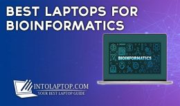 13 Best Laptops for Bioinformatics in 2024